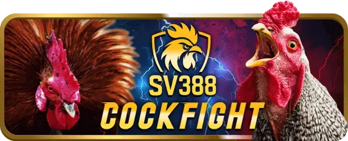 Tải ứng dụng vn999 code và nhận thưởng
